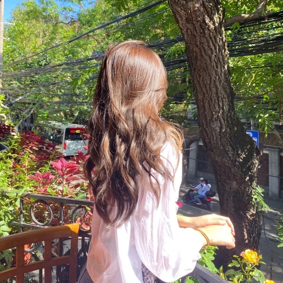 姐妹情殇